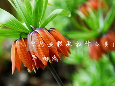 学历造假承担什么责任（伪造国家证件罪的犯罪构成）