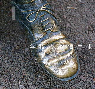 学校办的信用卡逾期怎么办(学校强制办信用卡怎么办)