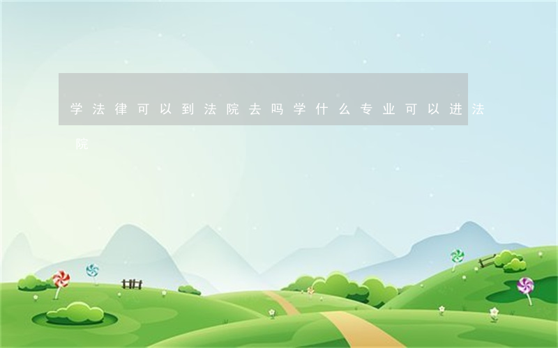 学法律可以到法院去吗(学什么专业可以进法院)