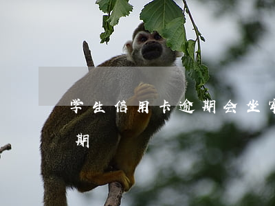 学生信用卡逾期会坐牢吗-大学生信用卡逾期