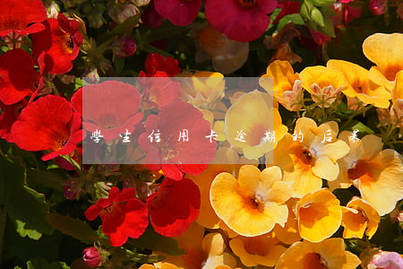 学生信用卡逾期的后果