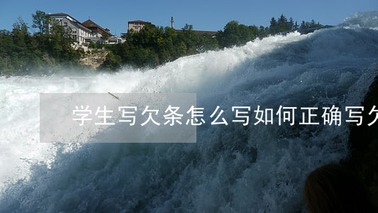 学生写欠条怎么写(如何正确写欠条)