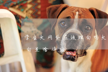 学生欠网贷应该坦白吗(欠了网贷要和父母坦白是啥体验?)
