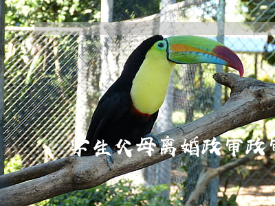 学生父母离婚政审(政审父母离异还要审吗)
