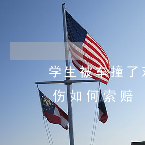 学生被车撞了对方全责怎么赔偿(学生被车撞伤如何索赔)