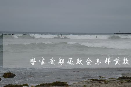 学生逾期还款会怎样(贷款还款逾期会怎样)