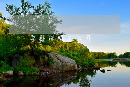 学籍证明怎么开