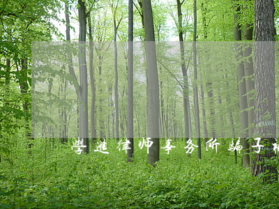 学进律师事务所骗子(被骗了找律师有用吗)