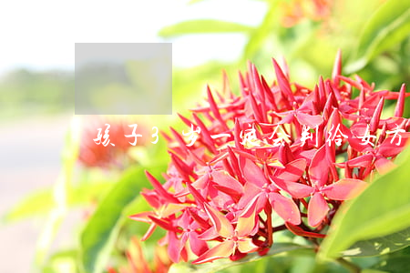 孩子3岁一定会判给女方吗