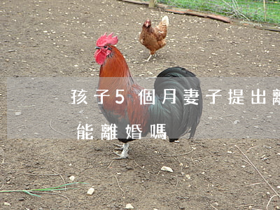 孩子5個月妻子提出離婚可以嗎(孩子5個月能離婚嗎)