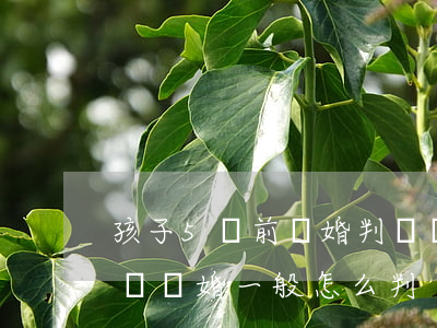 孩子5歲前離婚判給誰(shuí)(女兒五歲離婚一般怎么判)