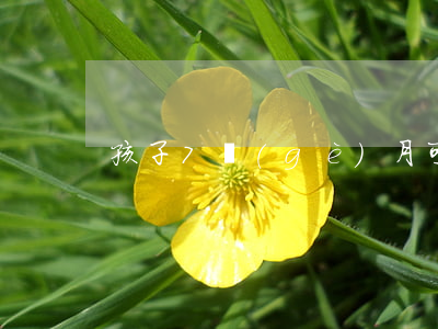 孩子7個(gè)月可以離婚嗎