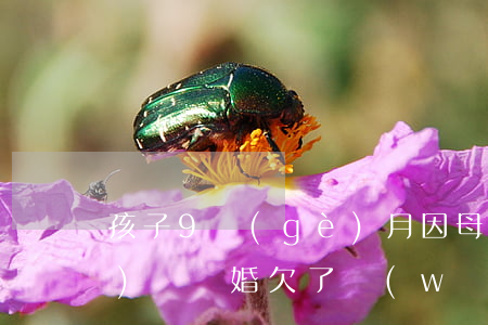 孩子9個(gè)月因母親欠網(wǎng)貸離婚(欠了網(wǎng)貸老婆要離婚該怎么辦)