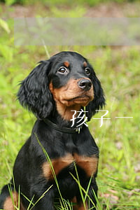孩子一歲離婚孩子判給誰