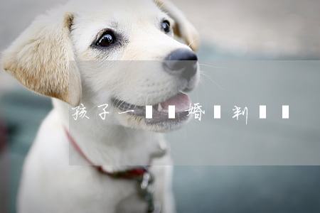 孩子一歲離婚會判給誰