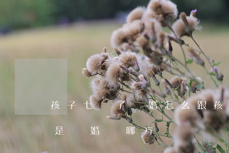 孩子七歲了離婚怎么跟孩子說(兒子7歲了要是離婚歸哪方)
