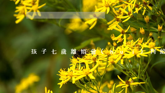 孩子七歲離婚會(huì)判給誰