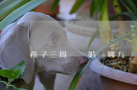 孩子三周歲離婚歸哪方