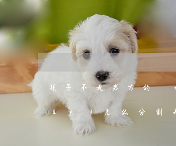 孩子不是男方的離婚財(cái)產(chǎn)怎么分割(夫妻離婚財(cái)產(chǎn)怎么分配孩子有份嗎)