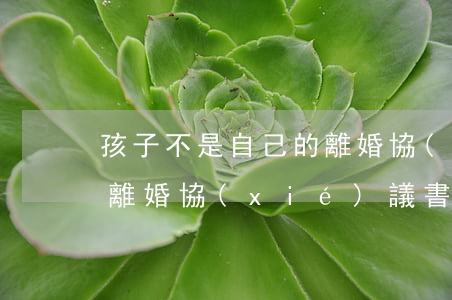 孩子不是自己的離婚協(xié)議怎么寫(離婚協(xié)議書沒有孩子怎么寫)