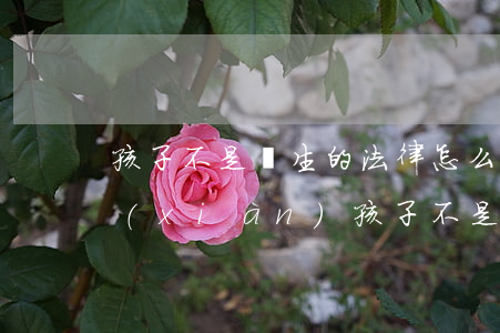 孩子不是親生的法律怎么解決(發(fā)現(xiàn)孩子不是親生的怎么辦)