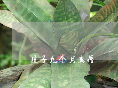 孩子九个月离婚