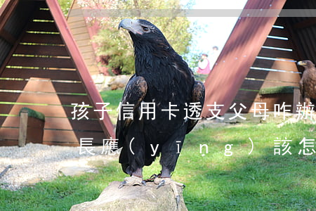 孩子信用卡透支父母咋辦(孩子信用卡欠錢家長應(yīng)該怎么做啊)