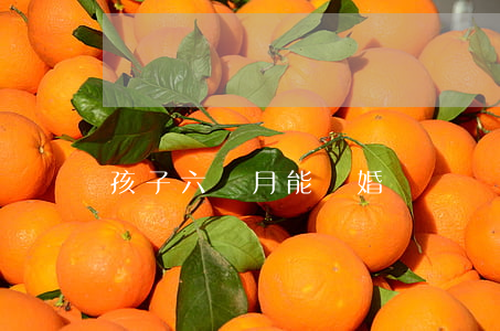 孩子六個月能離婚嗎