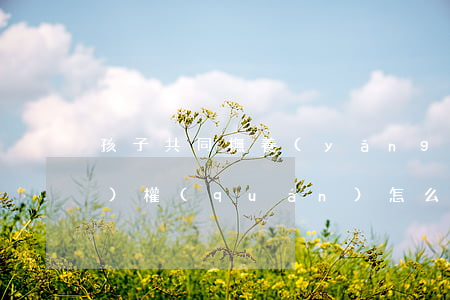 孩子共同撫養(yǎng) 撫養(yǎng)權(quán)怎么判(孩子撫養(yǎng)權(quán)可以歸雙方共同擁有嗎)