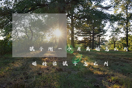 孩子刚一个月离婚怎么判(孩子出生一个月离婚的话孩子怎么判)