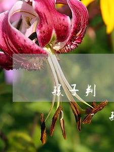 孩子判給誰和父母有事逾期有關(guān)嗎-孩子判給誰的依據(jù)