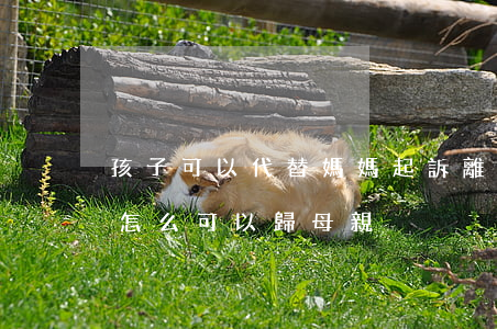 孩子可以代替媽媽起訴離婚嗎(起訴離婚孩子怎么可以歸母親)