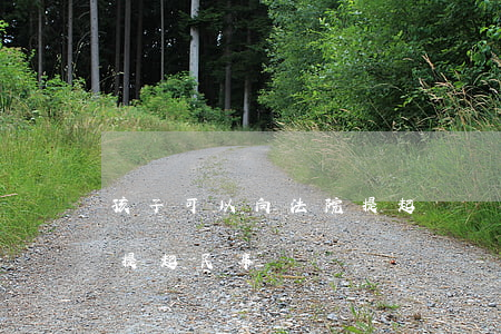孩子可以向法院提起訴訟嗎(可以向人民法院提起民事訴訟)