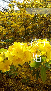 孩子可否起訴父母離婚(子女起訴父母履行離婚協(xié)議)