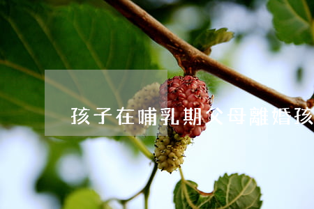 孩子在哺乳期父母離婚孩子歸誰