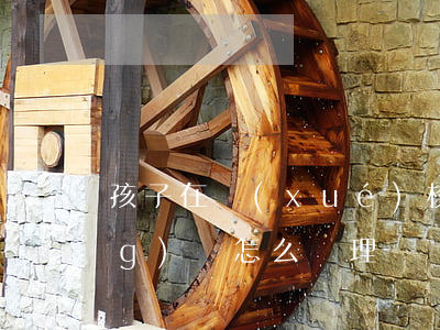 孩子在學(xué)校被人打了應(yīng)該怎么處理