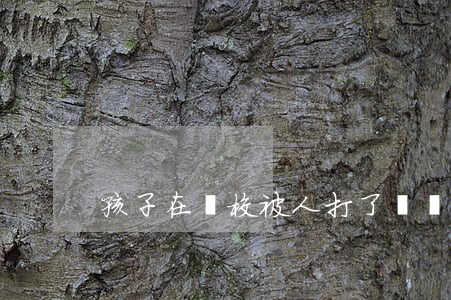 孩子在學校被人打了應該怎么處理