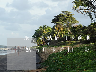 孩子姑姑信用卡逾期會影響孩子嗎-孩子姑姑信用卡逾期會影響孩子嗎知乎