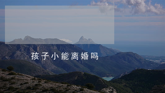 孩子小能离婚吗