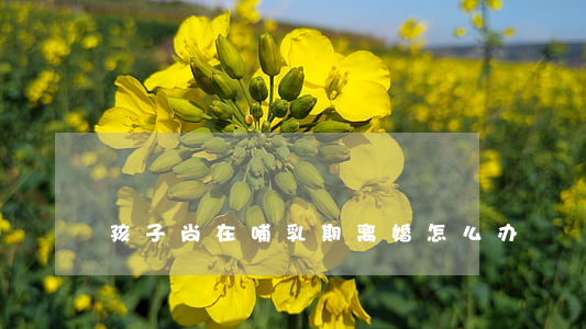 孩子尚在哺乳期离婚怎么办
