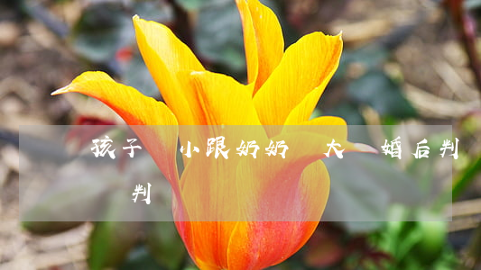 孩子從小跟奶奶長大離婚后判給誰(離婚小孩會判給誰)