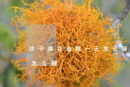 孩子房貸逾期一天怎么辦(個人房貸逾期一天怎么辦)