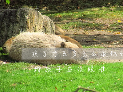 孩子才五岁怎么跟他讲离婚(孩子五岁父母离婚孩子应该跟谁)
