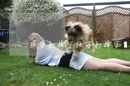 孩子打掉了(孩子打掉了還會惡心嗎)