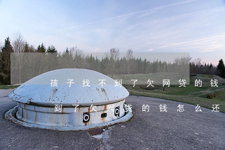 孩子找不到了欠网贷的钱怎么还-孩子找不到了欠网贷的钱怎么还呢