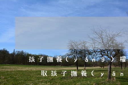 孩子撫養(yǎng)權(quán)怎么爭取(孩子撫養(yǎng)權(quán)怎么爭取)