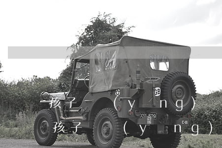 孩子撫養(yǎng)權律師代理費用(爭取孩子撫養(yǎng)權請律師費用多少錢)