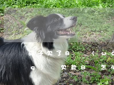 孩子欠了8萬網(wǎng)貸(網(wǎng)貸欠款8萬怎么辦)