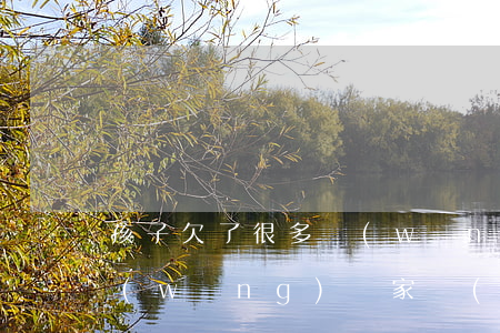 孩子欠了很多網(wǎng)貸(孩子欠的網(wǎng)貸家長(zhǎng)需要還嗎)