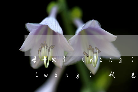 孩子欠了網(wǎng)貸怎么辦(女兒欠網(wǎng)貸我該怎么辦)